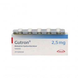 Гутрон таблетки 2,5 мг. №20 в Петрозаводске и области фото
